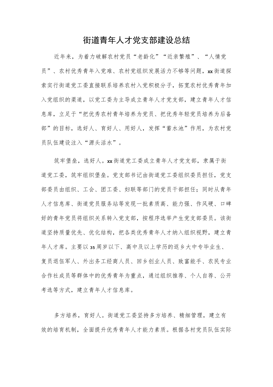 街道青人才党支部建设总结.docx_第1页