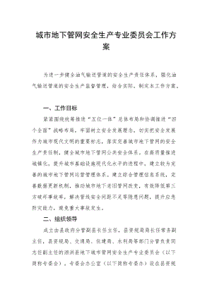 城市地下管网安全生产专业委员会工作方案.docx