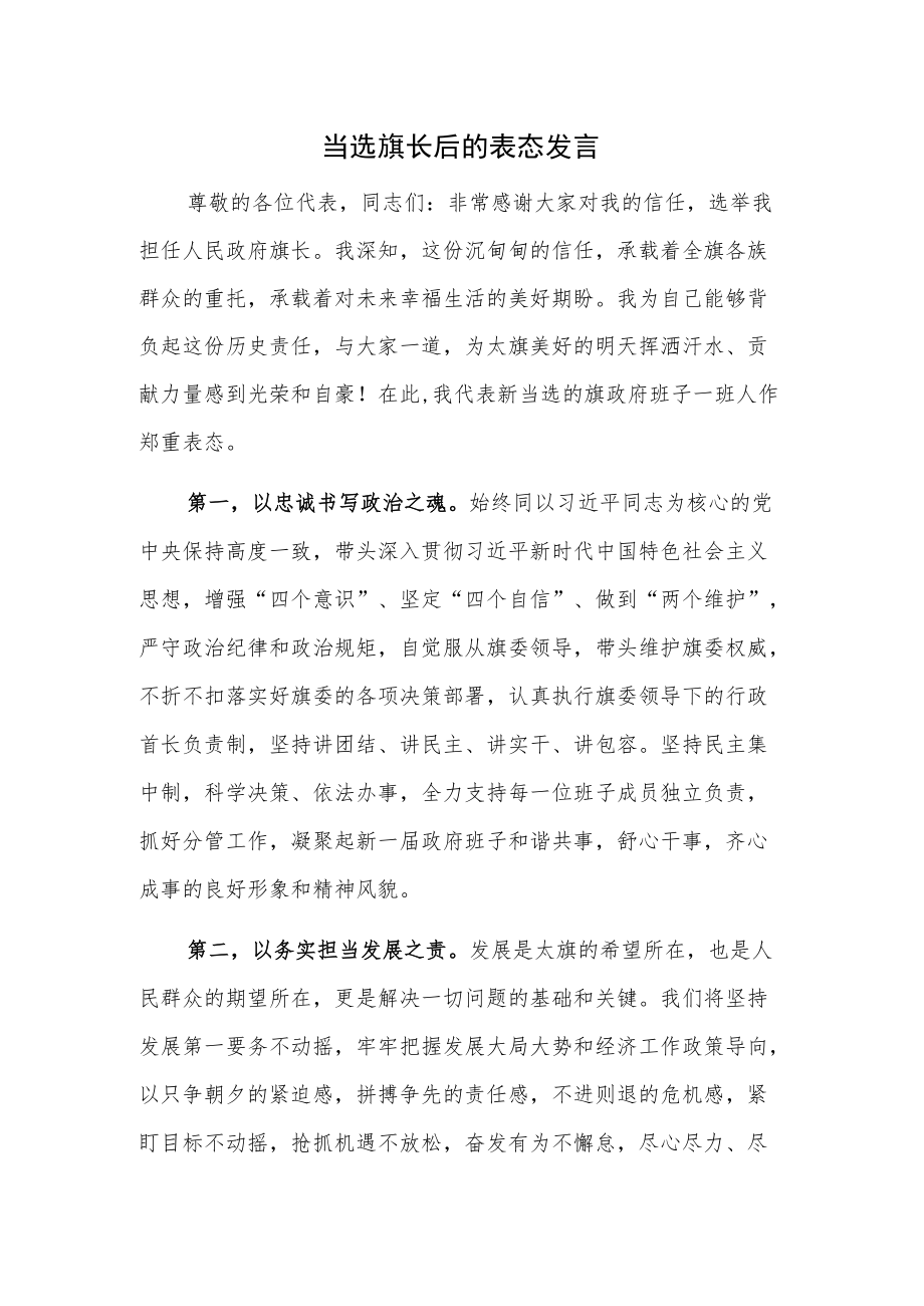 当选旗长后的表态发言.docx_第1页