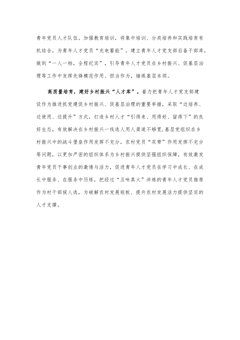 青人才党支部建设经验材料.docx_第2页