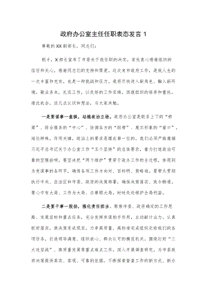 政府办公室主任任职表态发言2篇.docx