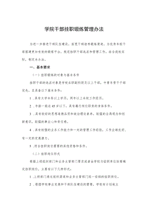 学院干部挂职锻炼管理办法.docx