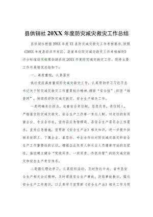 县供销社2021防灾减灾救灾工作总结.docx