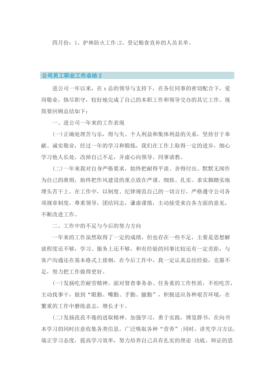 公司员工职业工作总结.doc_第2页