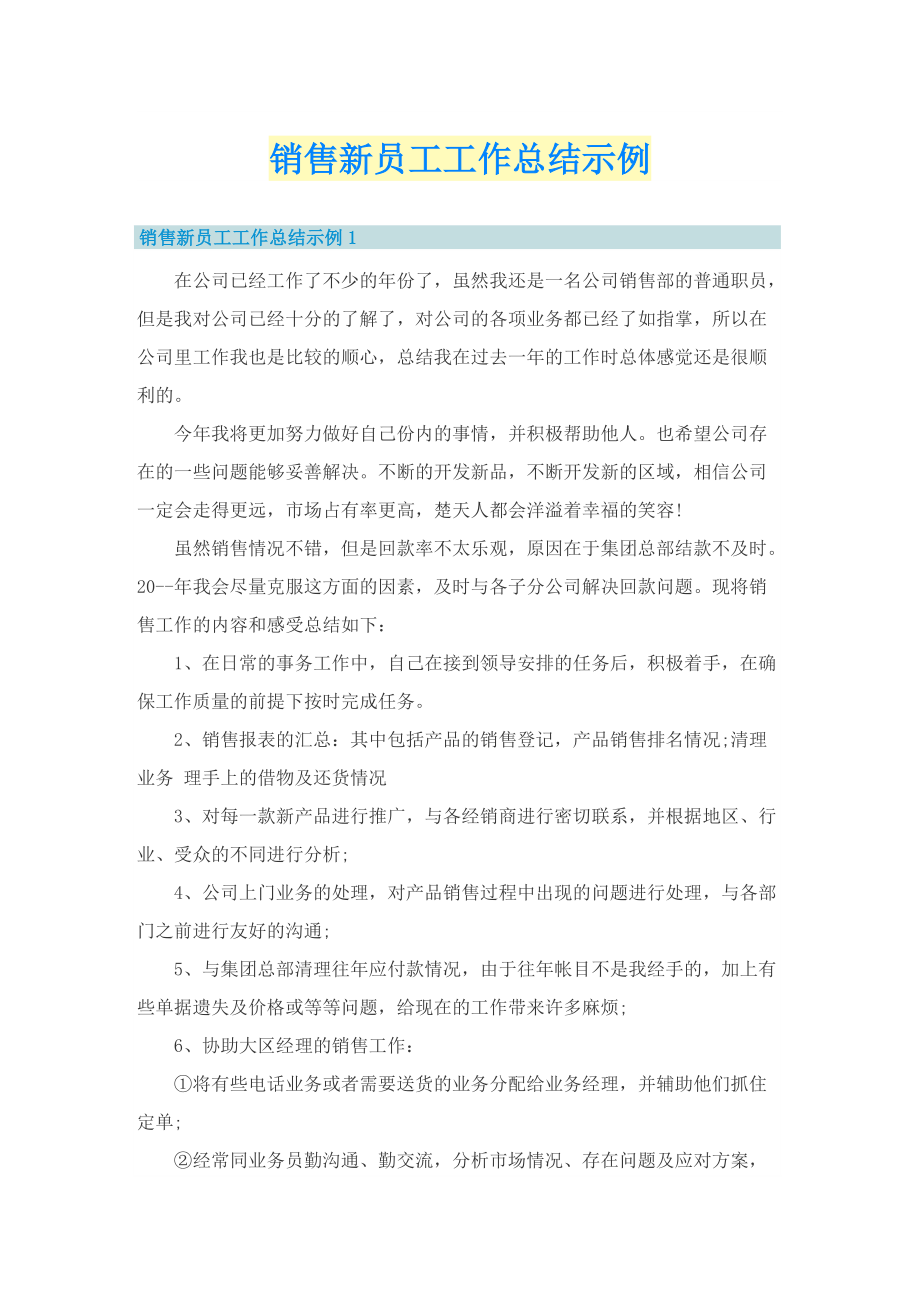 销售新员工工作总结示例.doc_第1页