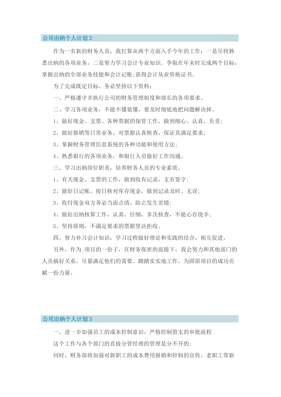 公司出纳个人计划.doc_第2页