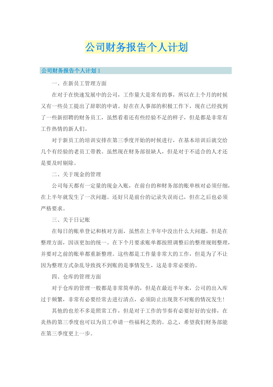 公司财务报告个人计划.doc_第1页