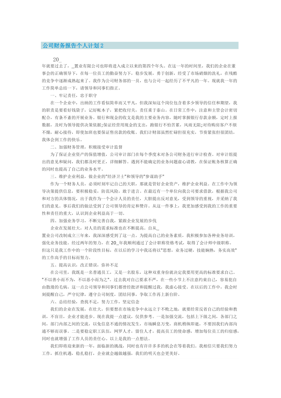 公司财务报告个人计划.doc_第2页