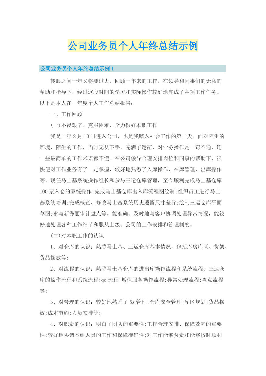 公司业务员个人年终总结示例.doc_第1页