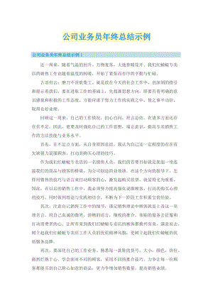 公司业务员年终总结示例.doc