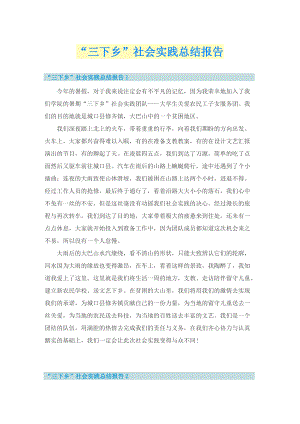 “三下乡”社会实践总结报告.doc