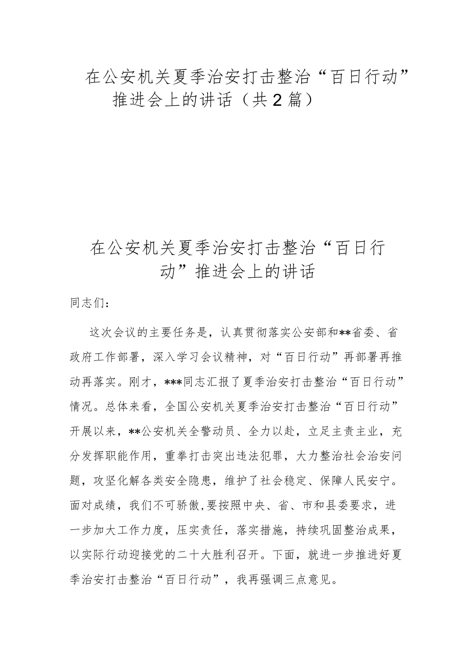 在公安机关夏季治安打击整治“百日行动”推进会上的讲话（共2篇）.docx_第1页