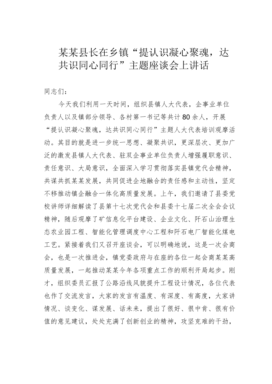 某某县长在乡镇“提认识凝心聚魂达共识同心同行”主题座谈会上讲话.docx_第1页