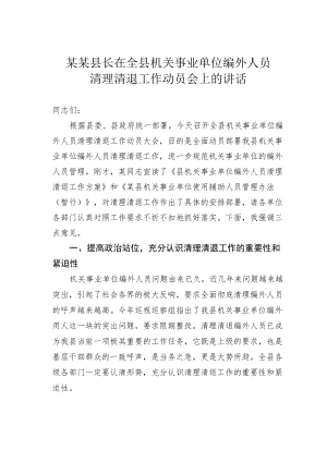 某某县长在全县机关事业单位编外人员清理清退工作动员会上的讲话.docx