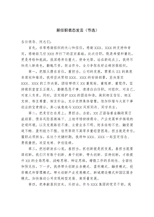 新任职表态发言.docx