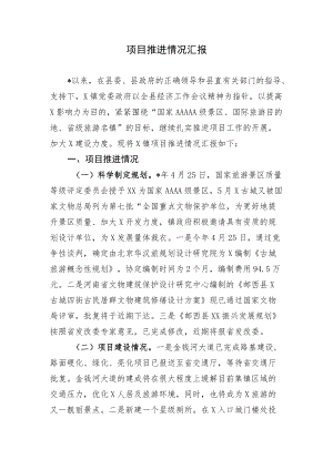 项目推进情况汇报.docx