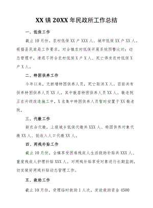 XX镇2021民政所工作总结.docx