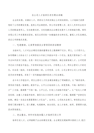 在公司人才培养引进专题会讲稿.docx