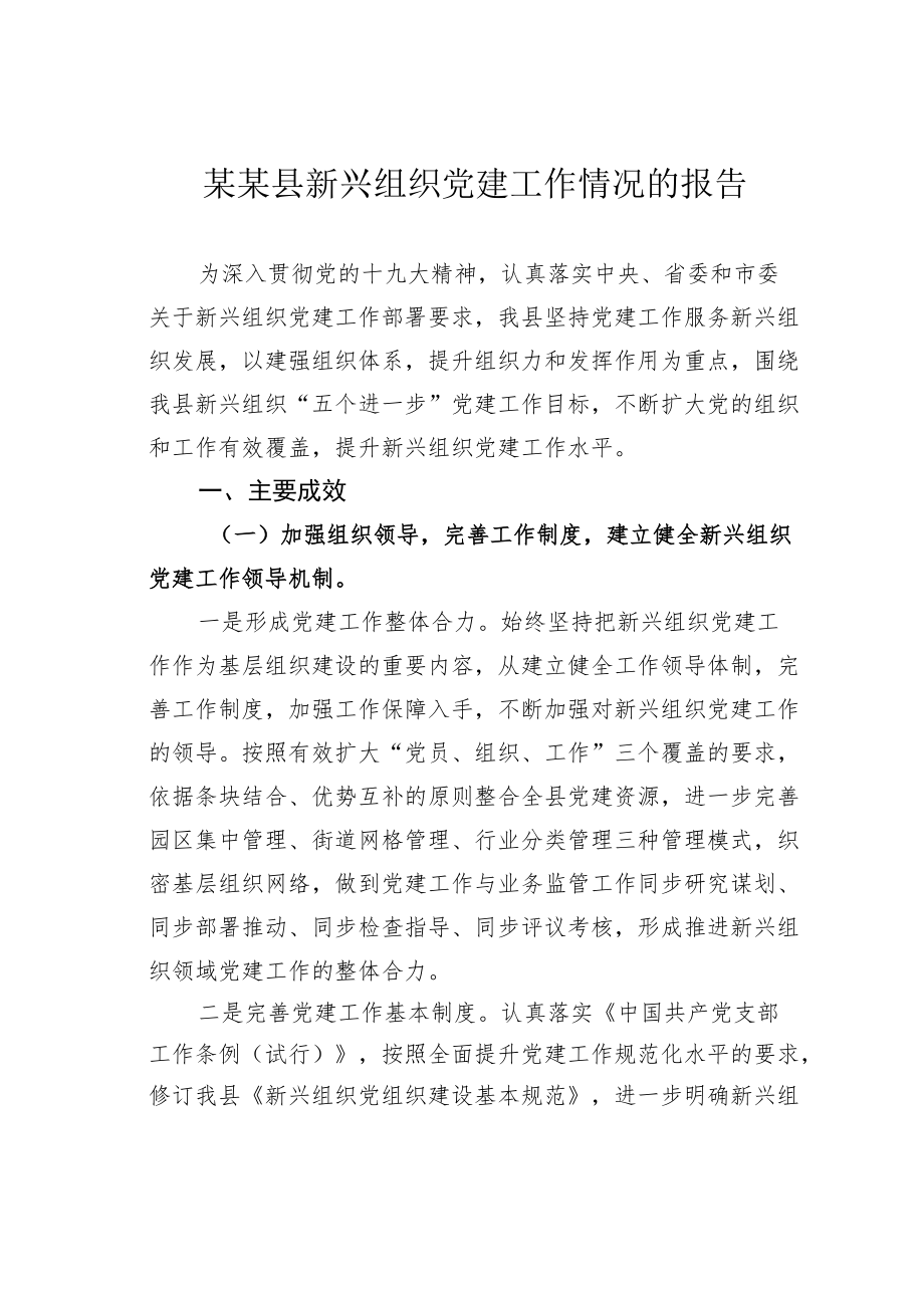 某某县新兴组织党建工作情况的报告.docx_第1页