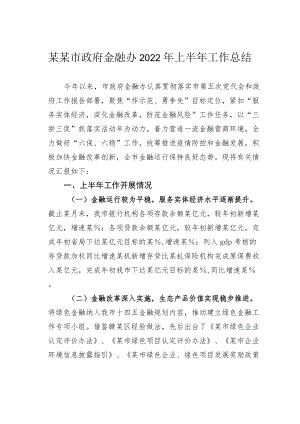 某某市政府金融办2022上半工作总结.docx