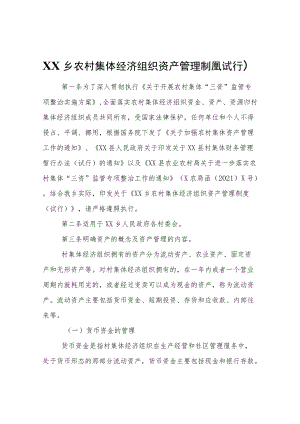 XX乡农村集体经济组织资产管理制度（试行）.docx