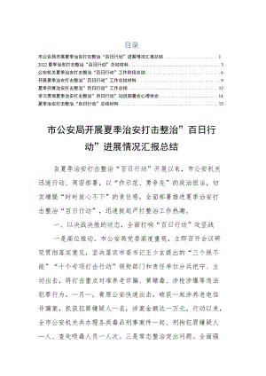 夏季治安打击整治“百日行动”总结材料收藏.docx