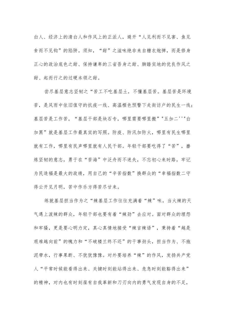 轻干部到基层去感悟心得体会.docx_第2页