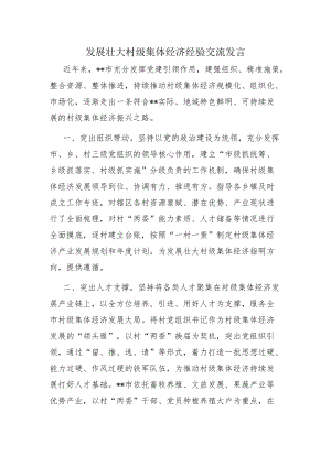 发展壮大村级集体经济经验交流发言.docx