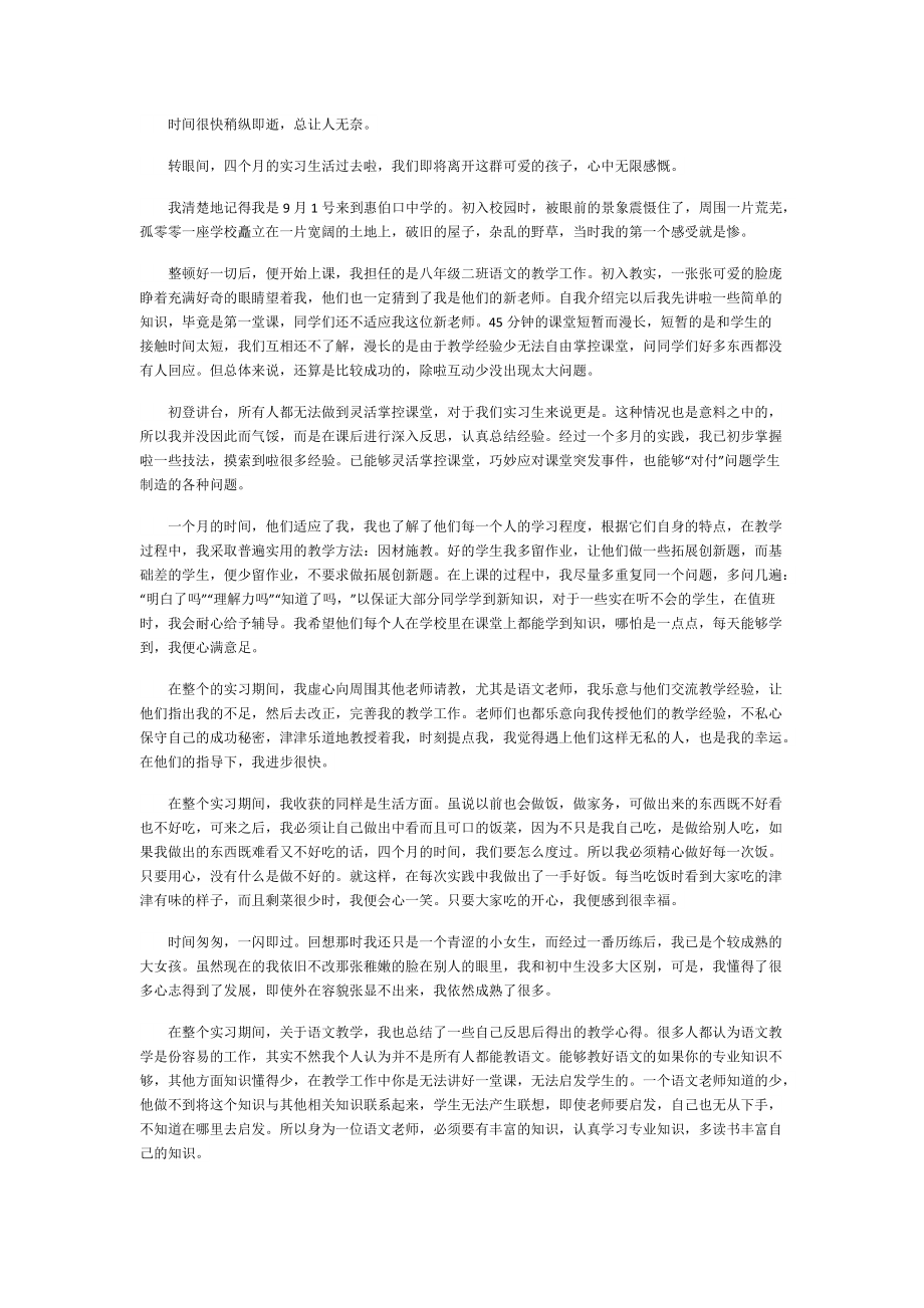 顶岗实习个人总结怎么写.doc_第2页