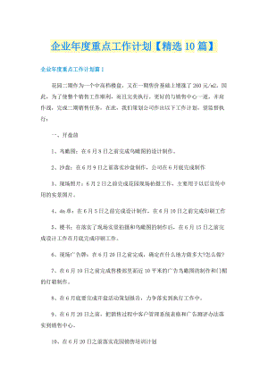 企业年度重点工作计划【精选10篇】.doc