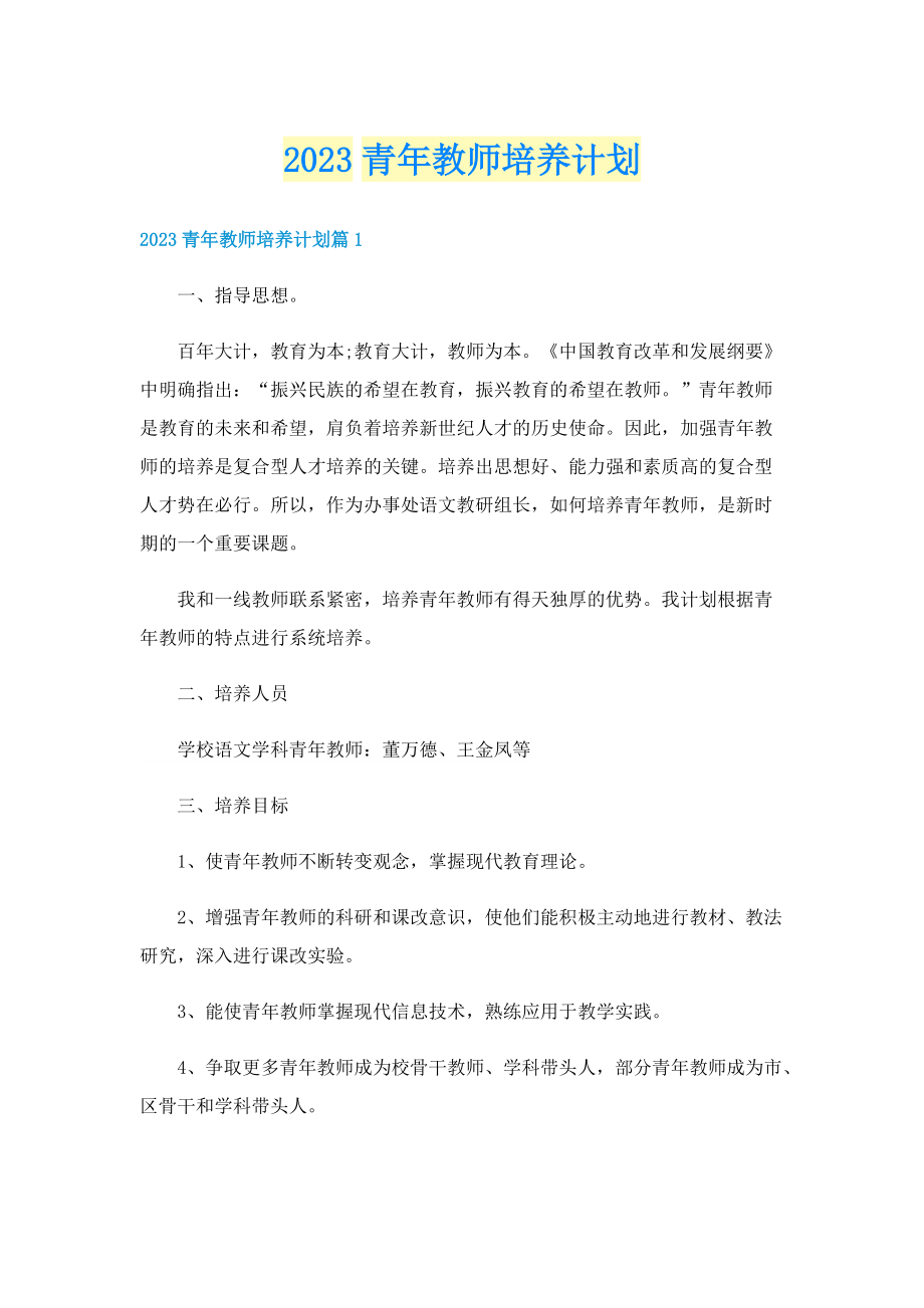 2023青年教师培养计划.doc_第1页