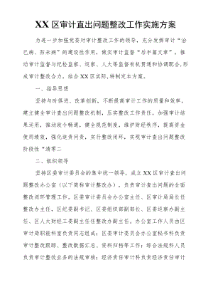 XX区审计查出问题整改工作实施方案.docx