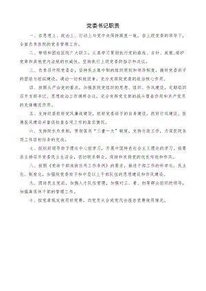 医院党委书记职责.docx