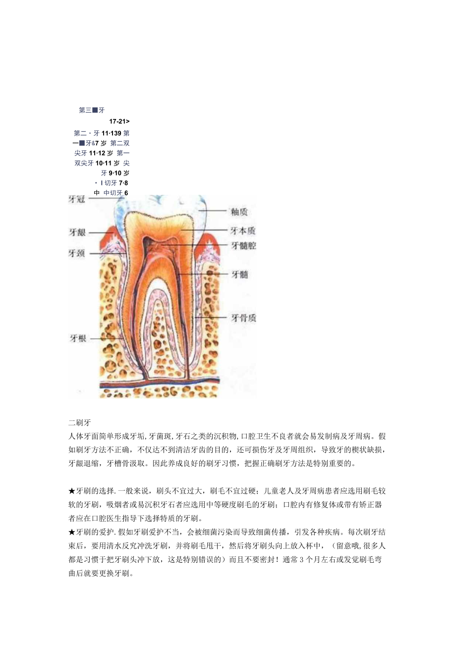 口腔预防保健的基本常识.docx_第2页