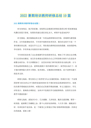 2022暑期培训教师研修总结10篇.doc