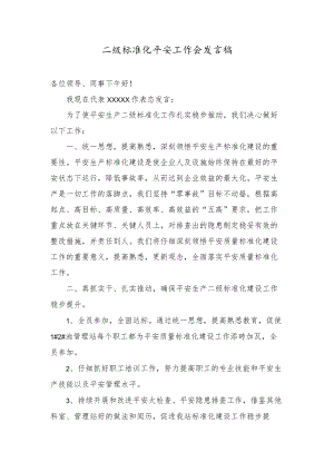 安全二级标准化发言.docx