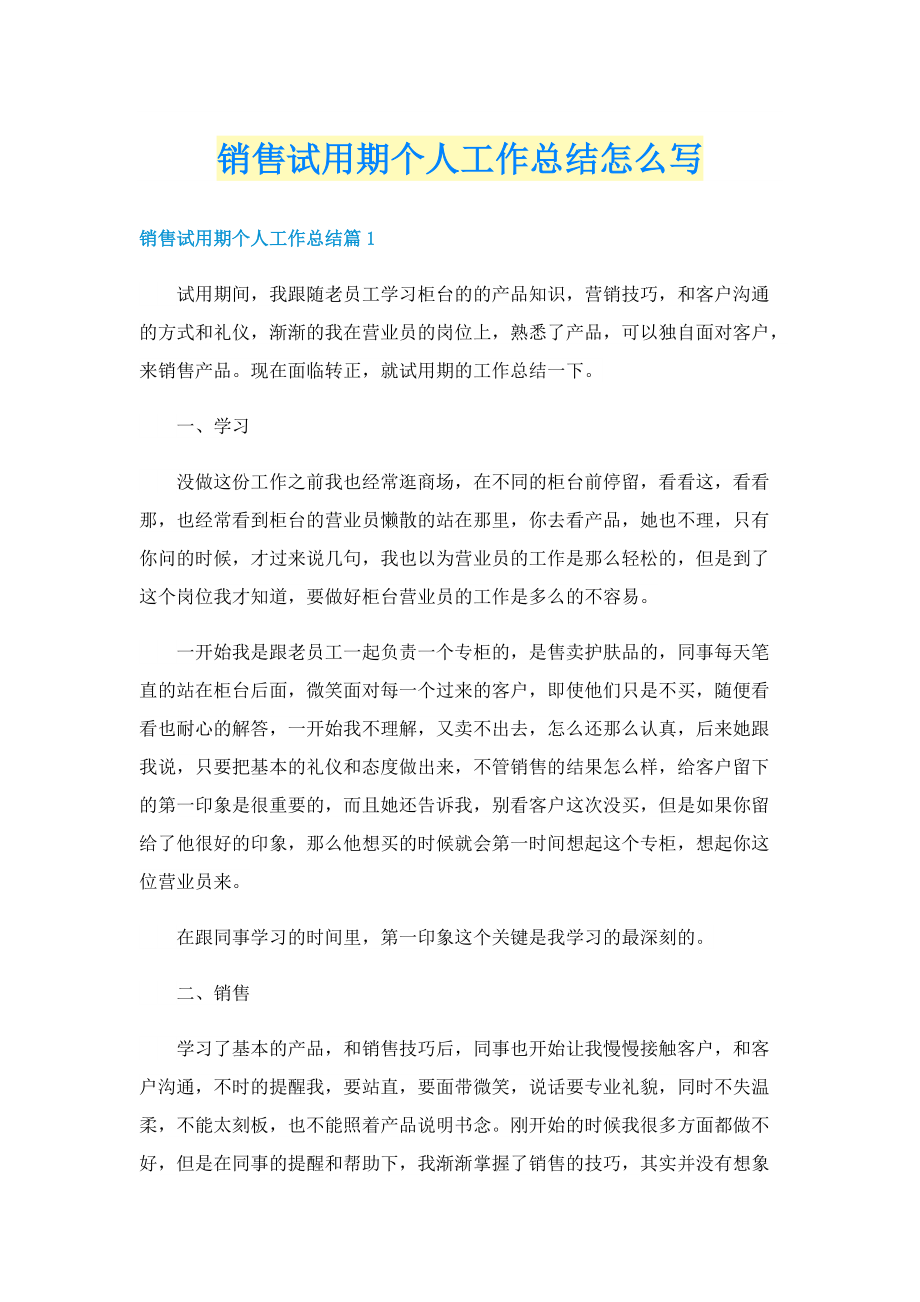 销售试用期个人工作总结怎么写.doc_第1页