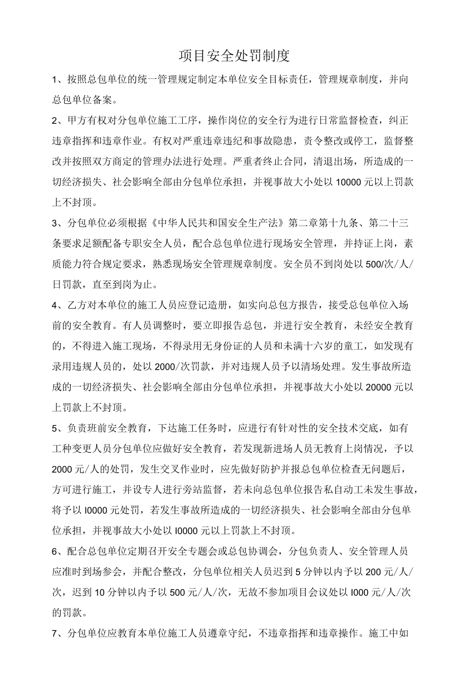 项目安全处罚制度.docx_第1页