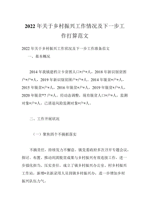 2022关于乡村振兴工作情况及下一步工作打算范文.docx