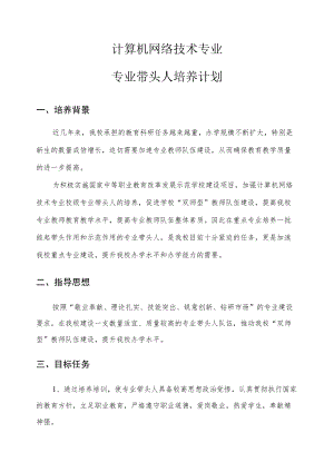 计算机网络技术专业带头人培养计划.docx