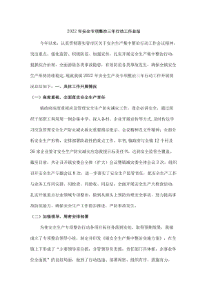 2022公司安全生产专项整治三行动工作总结.docx