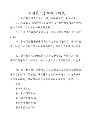 公司员工手册执行制度.docx