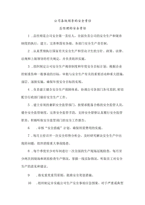 公司各级领导的安全责任.docx