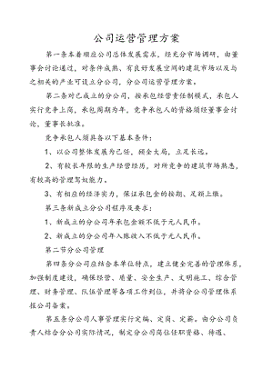 公司运营管理方案.docx