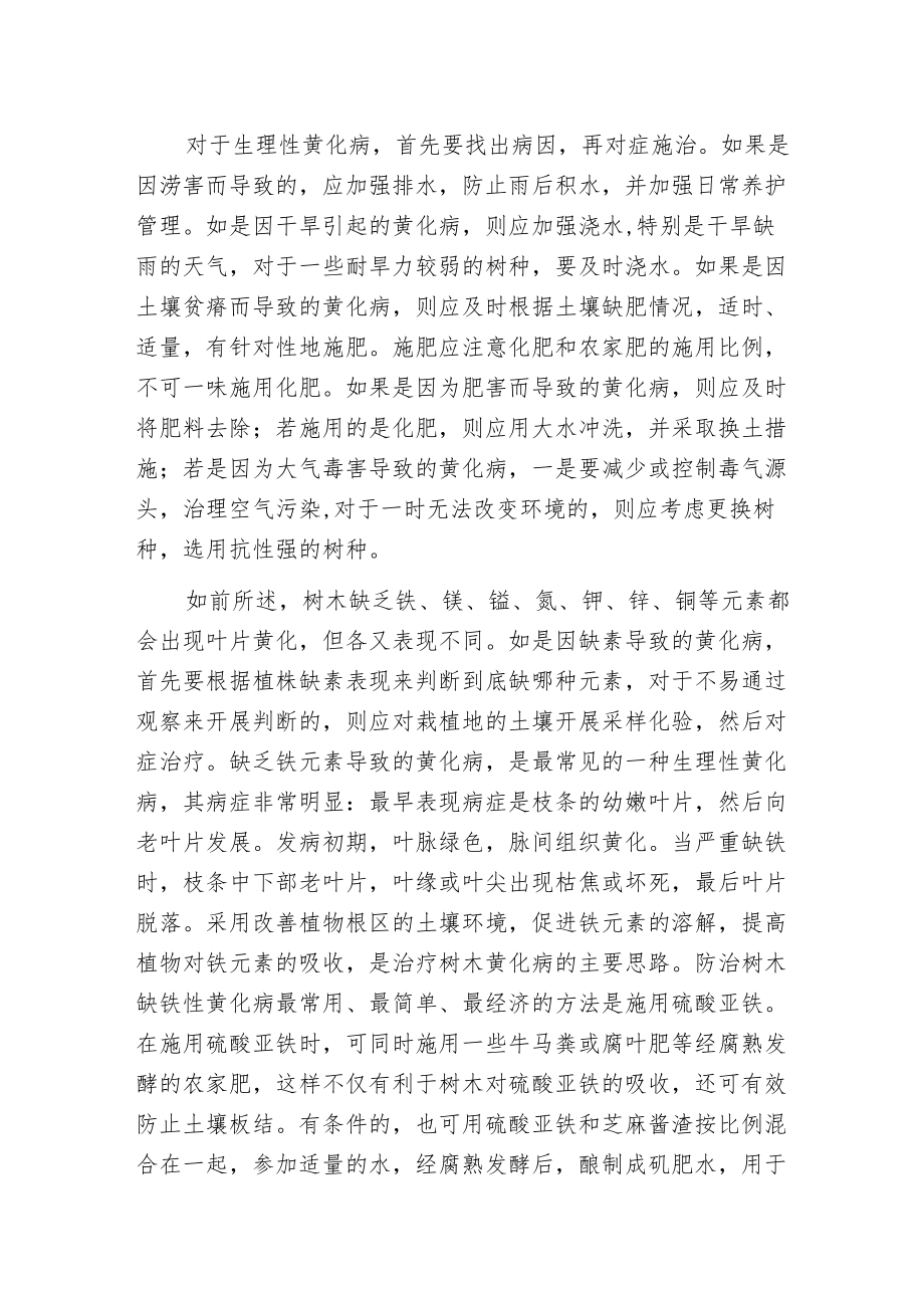 夏季谨防园林树木的病理性黄化病.docx_第2页