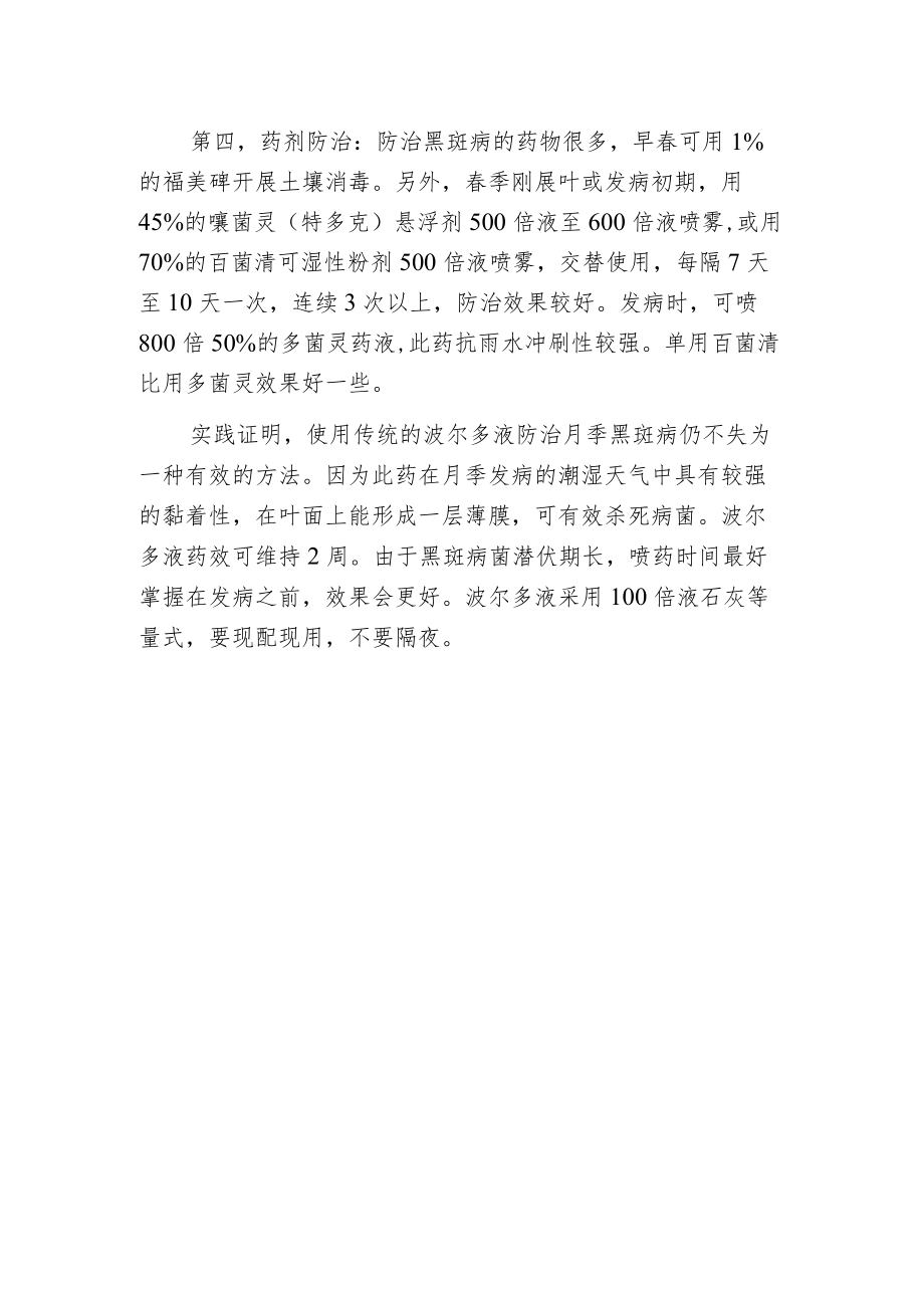 夏季玫瑰黑斑病防治要点.docx_第2页