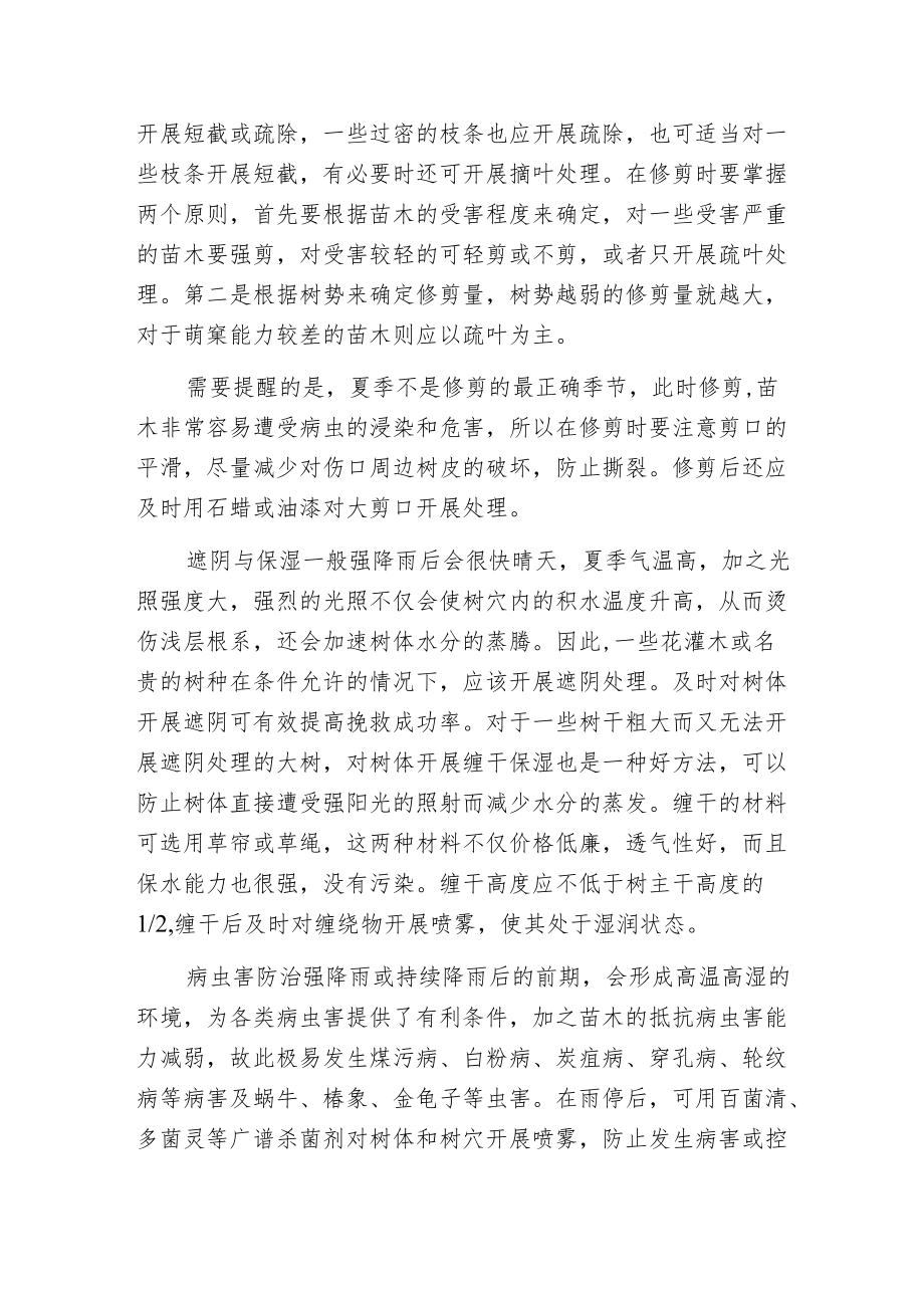 夏季苗木遭受涝害抢救要点.docx_第2页