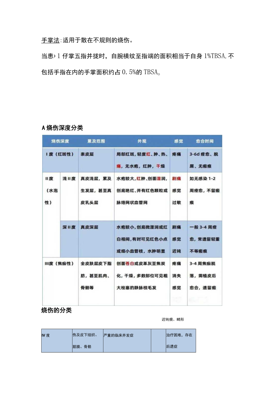 2022儿童烧伤评估及分类（全文）.docx_第3页