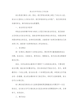 班主任半安全工作总结.docx