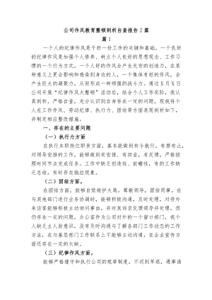 公司作风教育整顿剖析自查报告2篇.docx